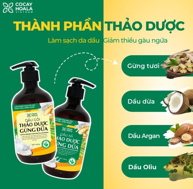 Dầu gội hữu cơ gừng dừa Cocayhoala thảo dược cao cấp