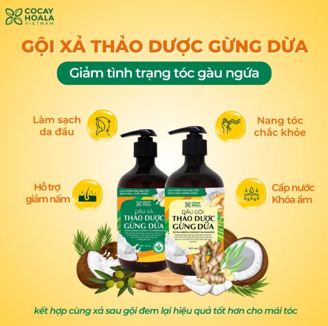 Dầu gội hữu cơ gừng dừa Cocayhoala thảo dược cao cấp