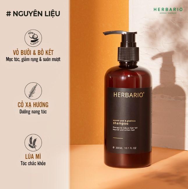 Dầu gội vỏ bưởi và bồ kết Herbario