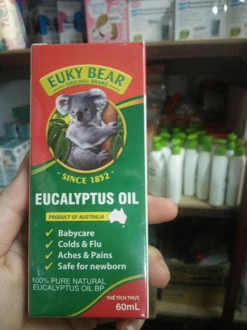 Dầu khuynh diệp Euky Bear