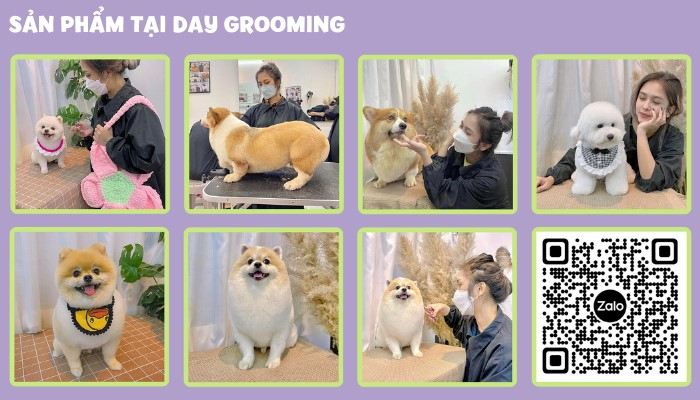 Day Grooming