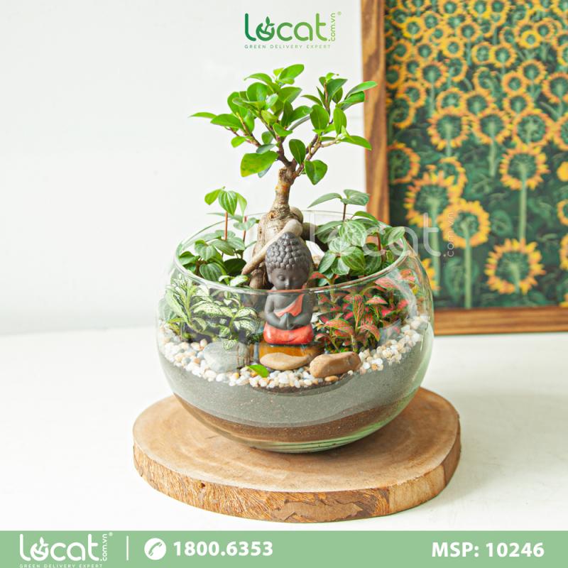 DECOR LỌ CÁT