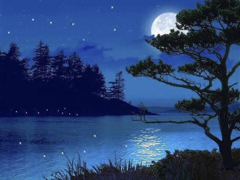 Cùng chiêm ngưỡng hình ảnh của đêm trăng đẹp, khi ánh trăng trải đều khắp bầu trời, khiến cảnh vật trở nên mơ màng và lãng mạn hơn bao giờ hết.