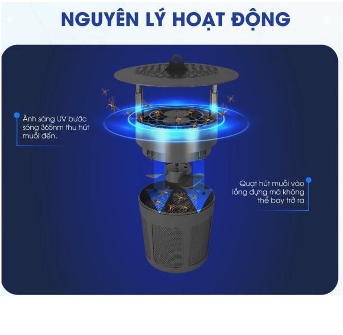 Đèn bắt muỗi Rạng Đông DBM01