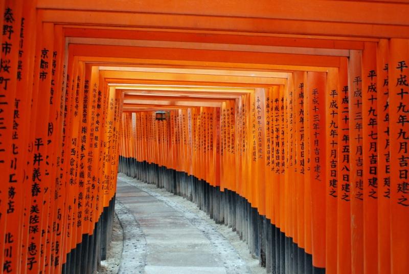Cổng Torii là con đường dẫn vào thế giới thần linh