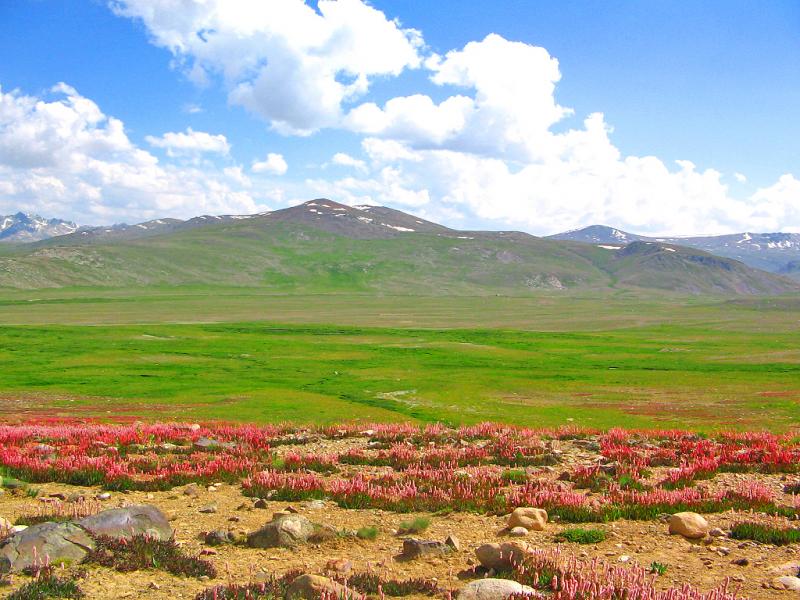 Vườn quốc gia Deosai - Pakistan