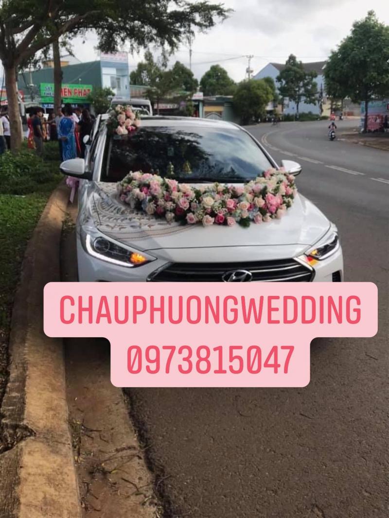 Dịch vụ cho thuê xe hoa đám cưới uy tín, chất lượng nhất tỉnh Đắk Lắk