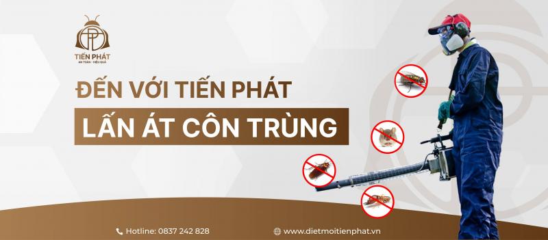 Diệt chuột Tiến Phát