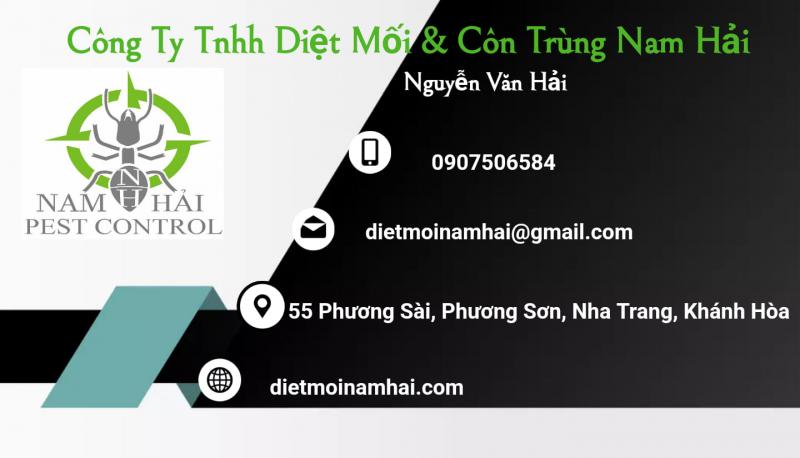 Diệt Mối & Côn Trùng Nam Hải