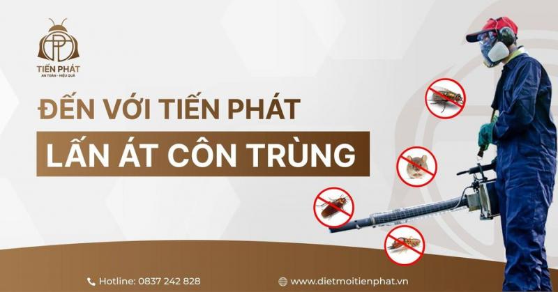 Diệt Mối Côn Trùng Tiến Phát