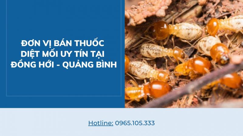 Diệt mối Trần Anh