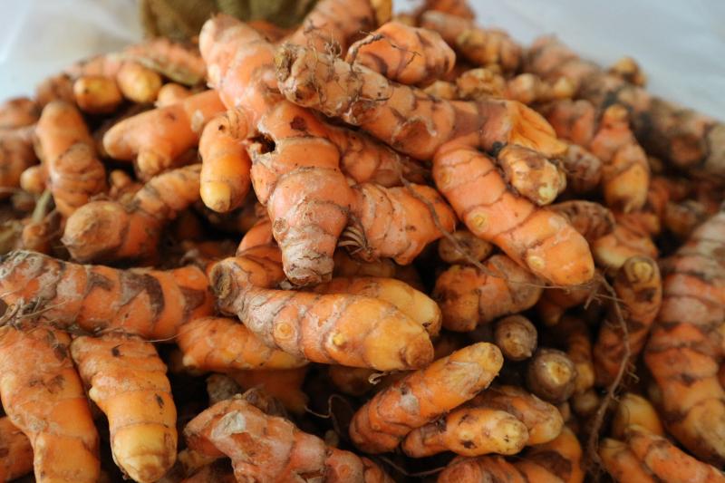 Sutras from golden turmeric