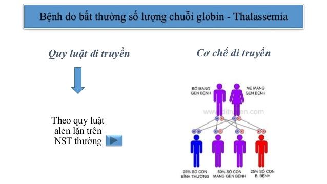 Thoát vị đĩa đệm do yếu tố di truyền