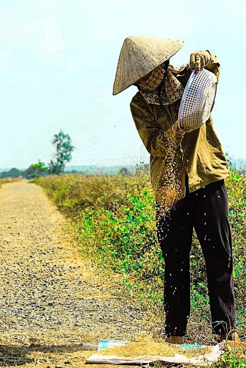 Đoạn văn cảm nhận bài 