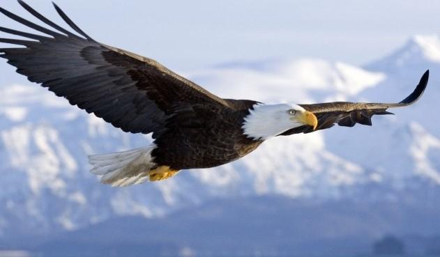 Ảnh minh hoạ (Nguồn internet)