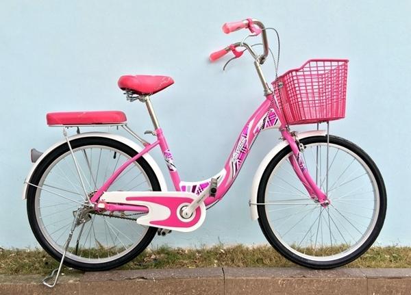 Đoạn văn tả chiếc xe đạp của em - mẫu 1