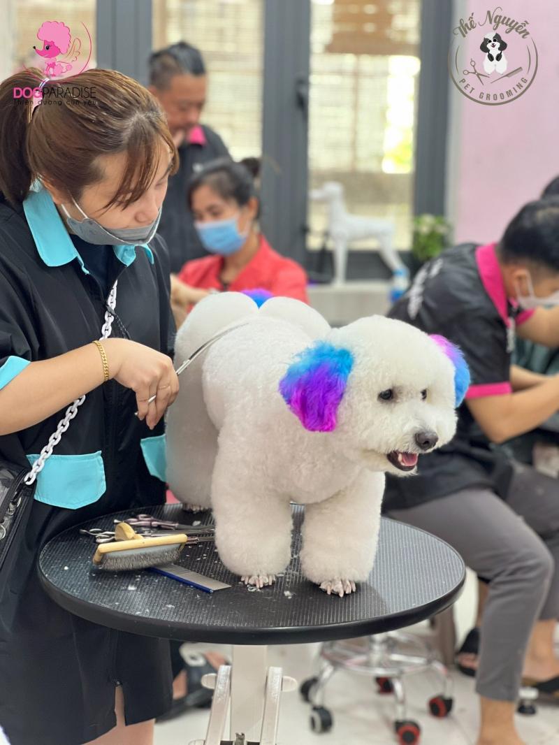 Dog Paradise - Thiên Đường Spa Thú Cưng Tại TPHCM