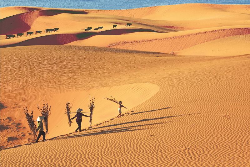 Đồi cát bay (Mũi Né - Phan Thiết)