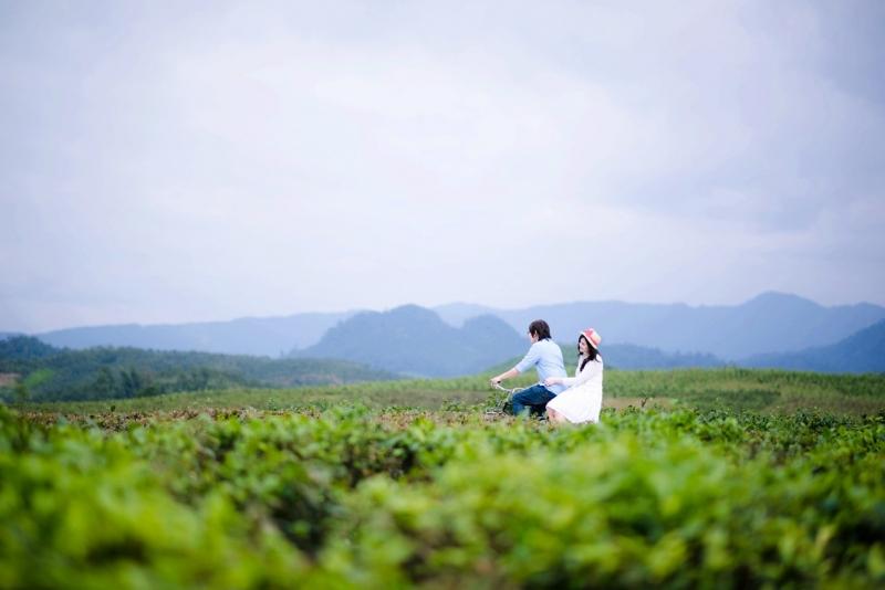 Bộ ảnh cưới đồi chè tình yêu cực đẹp và cực lãng mạn nhất