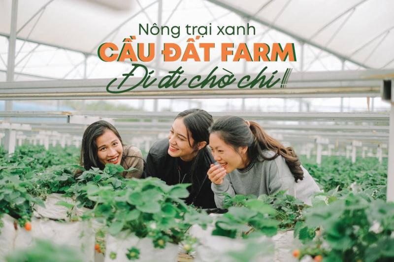 Cầu Đất Farm