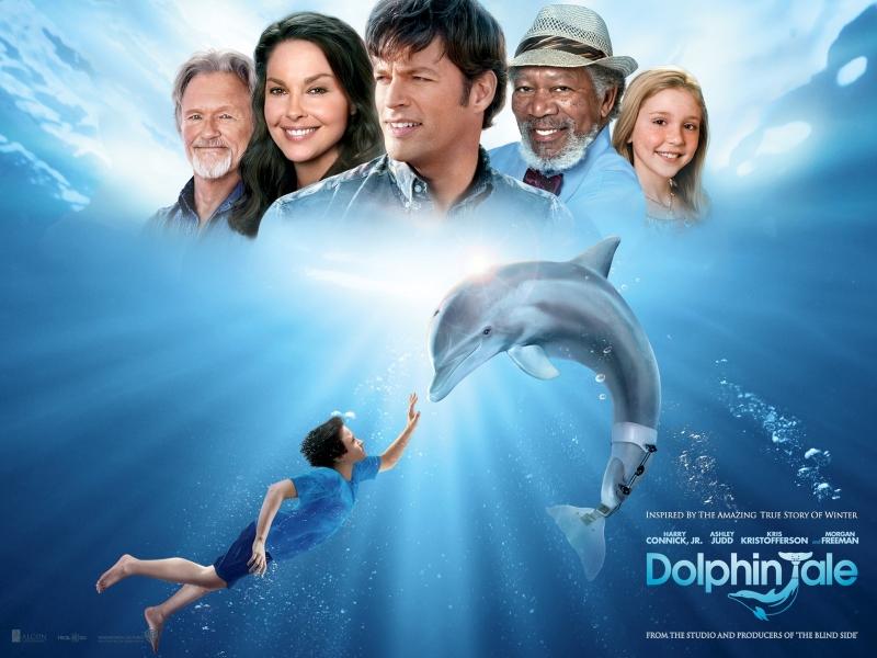 Dolphin Tale