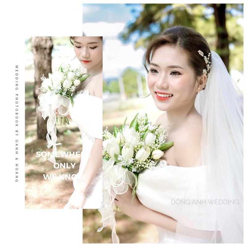 Đông Anh Wedding - Gia Lai