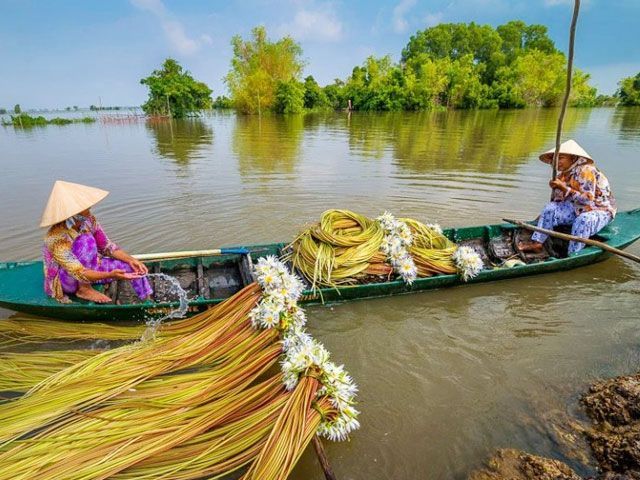 Đồng bằng sông Cửu Long