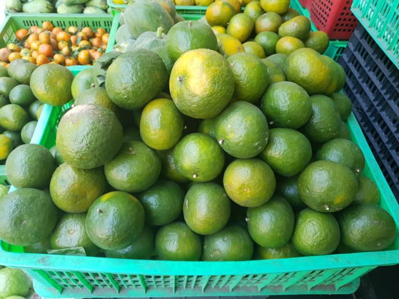 Đông Dương Fruits