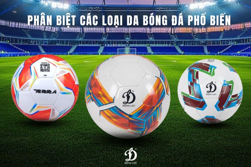 Động Lực Sport