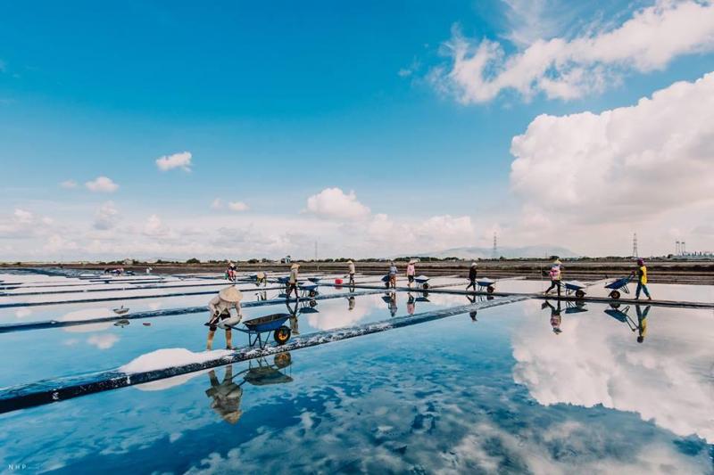 Bach Long salt field