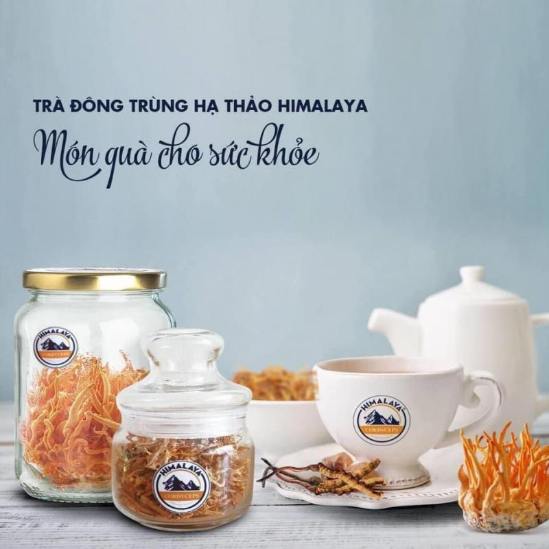 Đông Trùng Hạ Thảo Himalaya