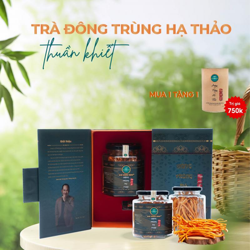 Đông Trùng Hạ Thảo - Kim Cương Vàng