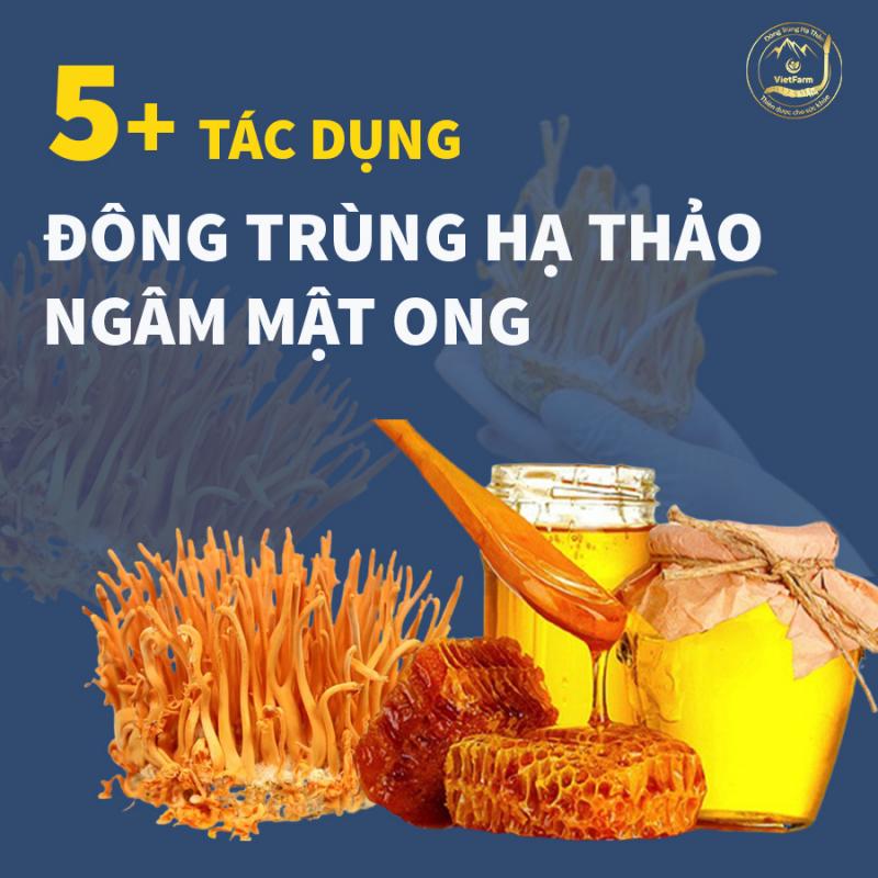 Đông trùng hạ thảo Vietfarm