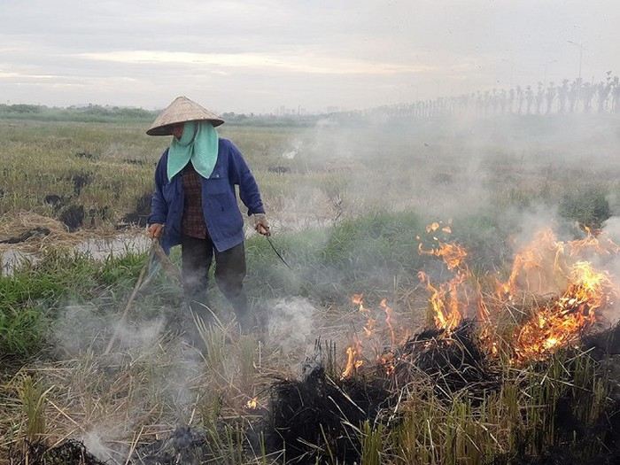 Đốt rơm rạ đã trở thành thói quen khó bỏ của người nông dân