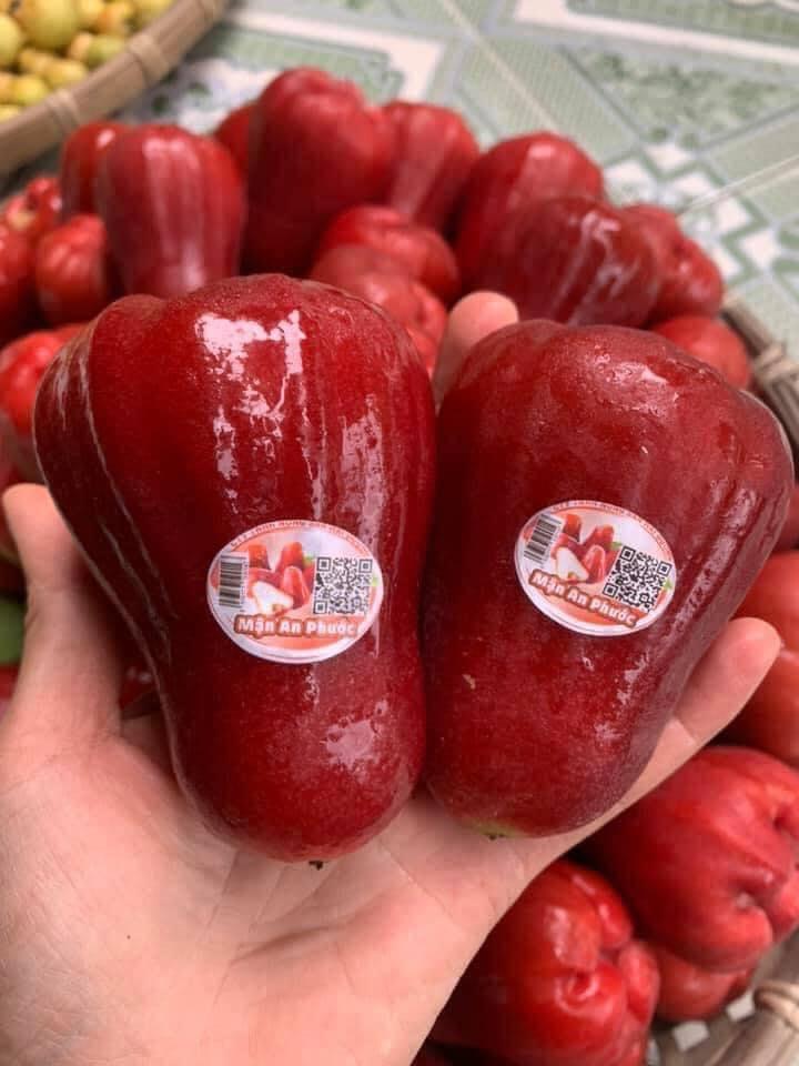 Cửa hàng trái cây sạch và an toàn tại Thái Nguyên