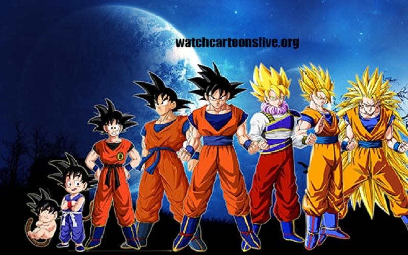 Quá trình trưởng thành của Son Goku