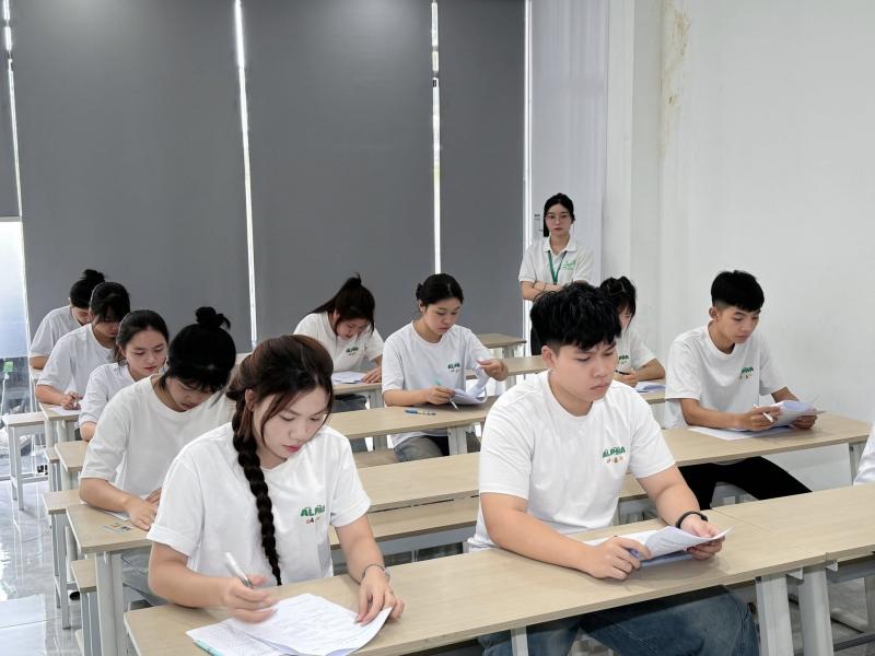 Du Học Alpha Đà Nẵng