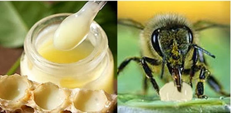 Dựa vào thời gian bảo quản có thể nhận biết sữa ong chúa thật giả