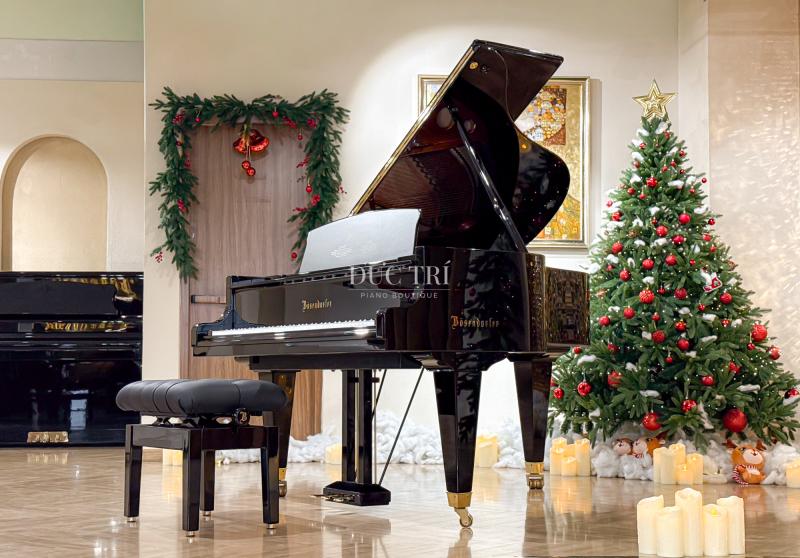 Đức Trí Piano Boutique