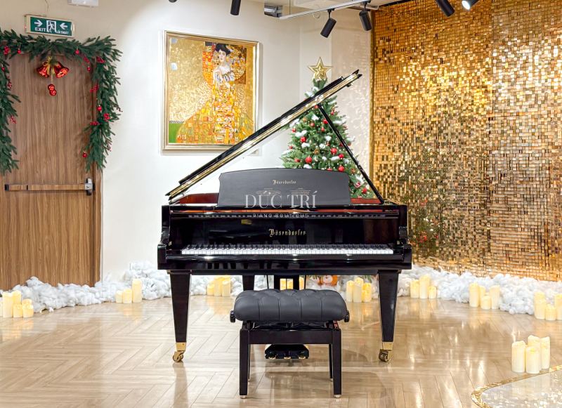 Đức Trí Piano Boutique