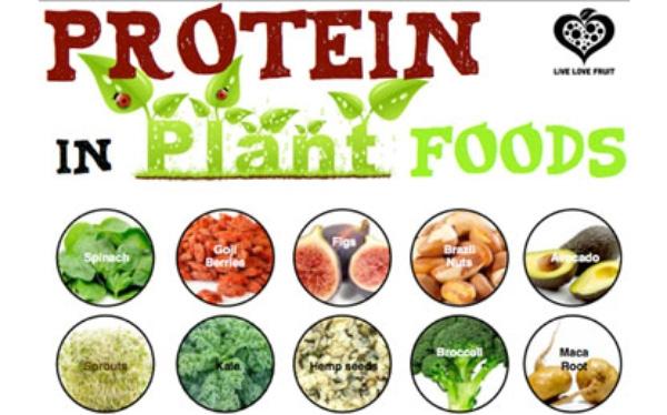 Dùng nhiều thực phẩm nguồn gốc protein thực vật
