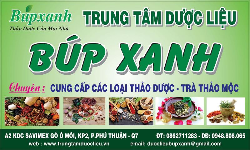 Dược Liệu Búp xanh