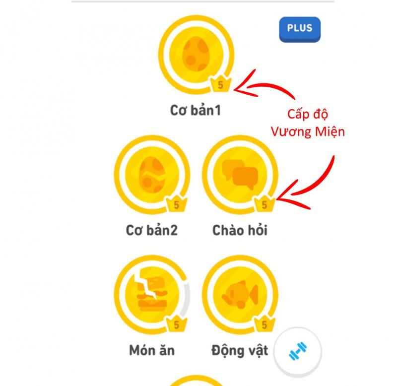 Bạn có thể rèn luyện không chỉ phát âm mà có thể cả 4 kỹ năng Tiếng Anh trên Duolingo