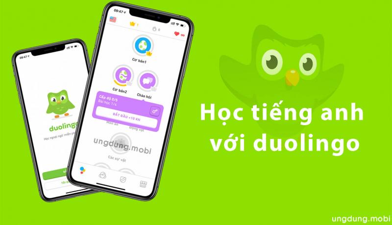 Duolingo: học tiếng Anh miễn phí