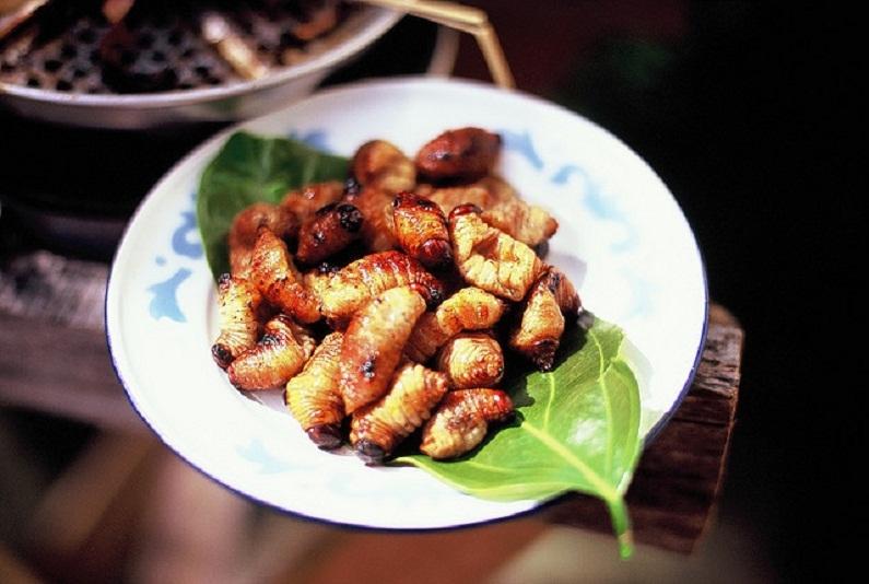 Món ăn từ côn trùng lạ nhất Việt Nam