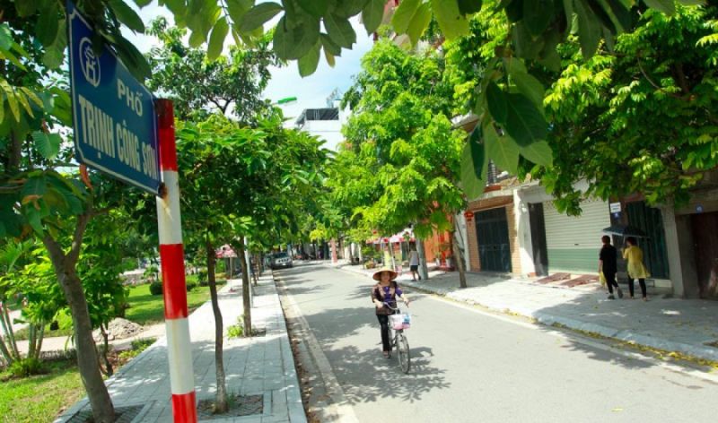 Trinh Cong Son Street