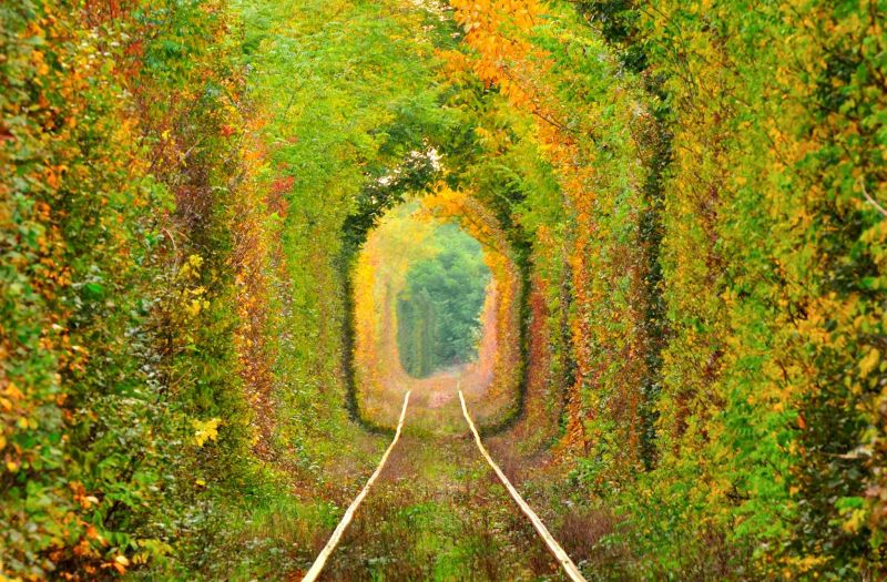 Đường hầm tình yêu “Tunnel of love” (Ukraine)