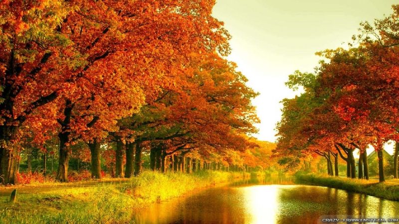 Top 8 con đường mùa thu đẹp nhất thế giới