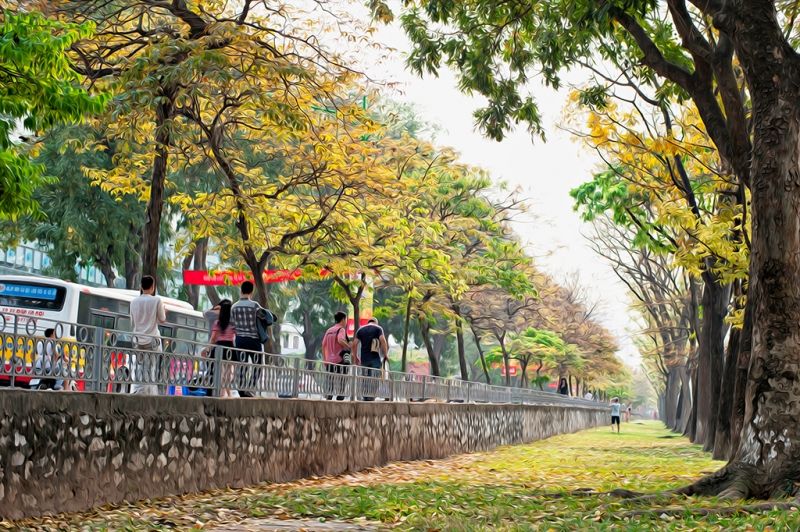 Top 8 Địa điểm chụp ảnh ngoại cảnh miễn phí đẹp nhất dành cho các bạn nữ ở Hà  Nội 