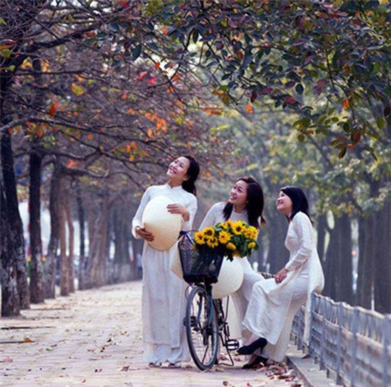 Top 8 Địa điểm chụp ảnh ngoại cảnh miễn phí đẹp nhất dành cho các bạn nữ ở Hà  Nội 